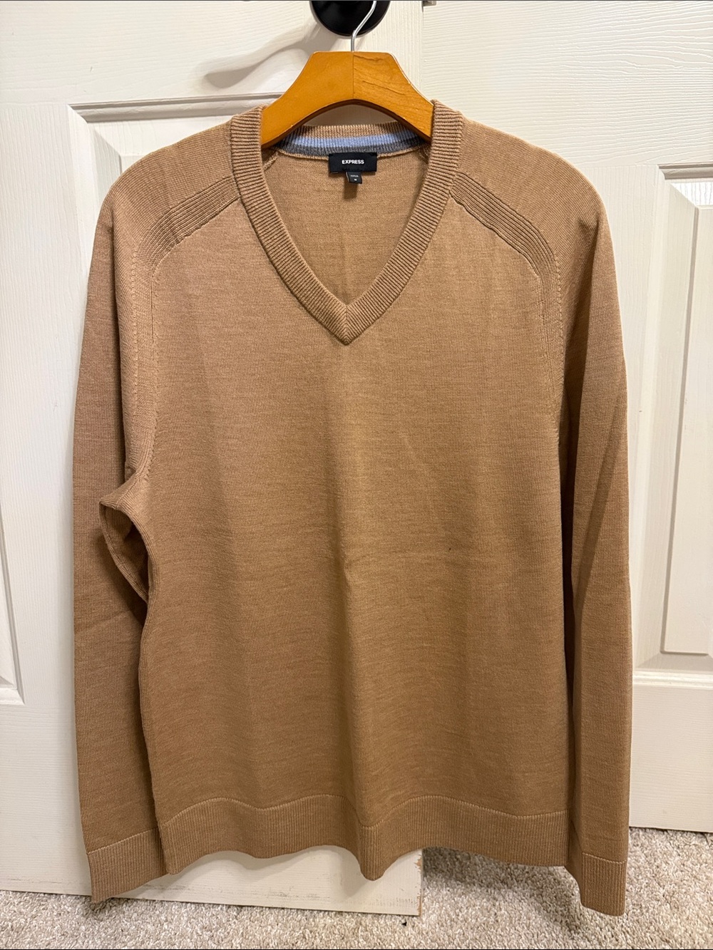 Express V-Neck Sweater in Camel Brown